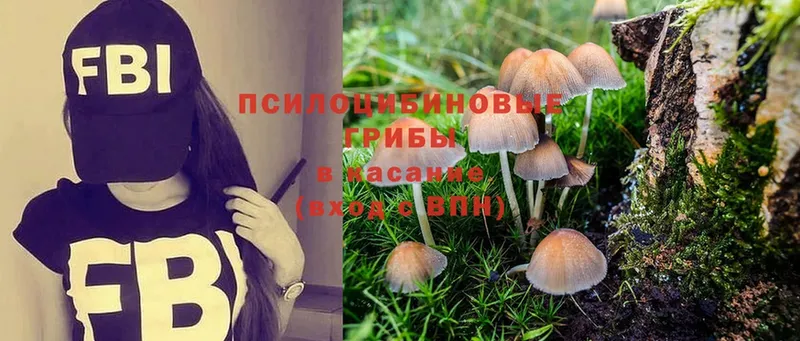 Галлюциногенные грибы MAGIC MUSHROOMS  где купить наркоту  Кимовск 